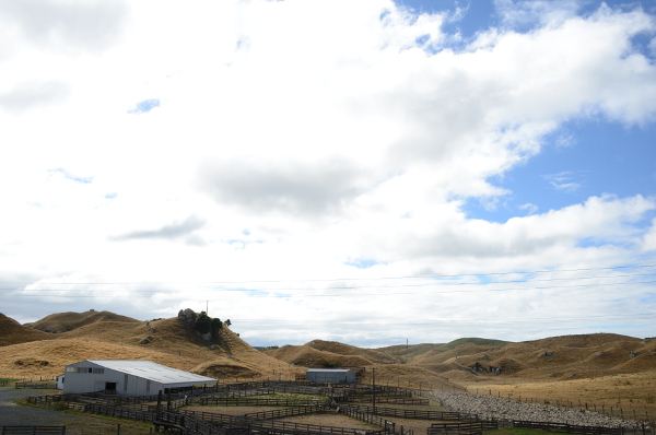 Eine Schaffarm unterwegs