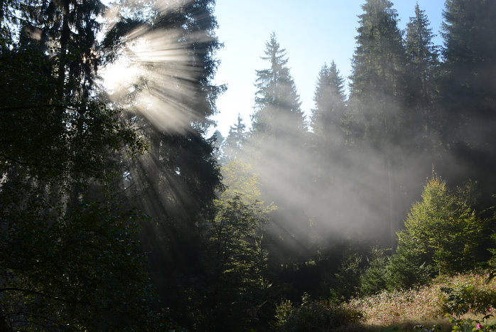 Nebel und Sonne