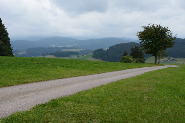 Wenigstens ab und an etwas Licht