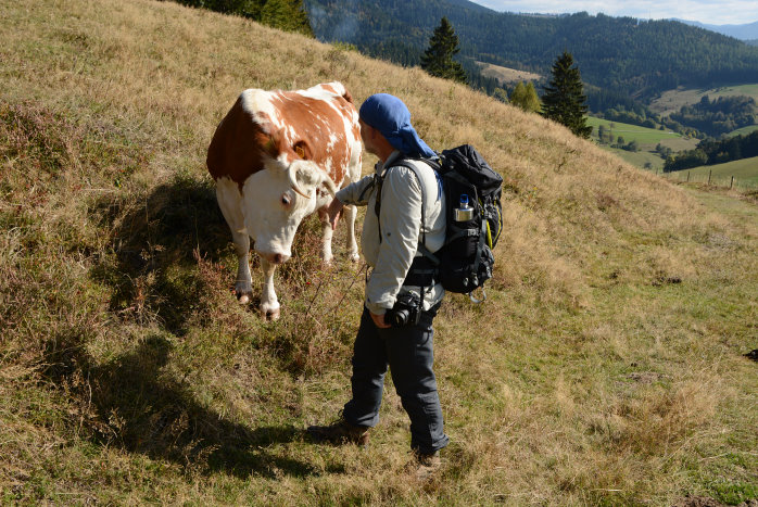 Der macht nix, der will nur spielen