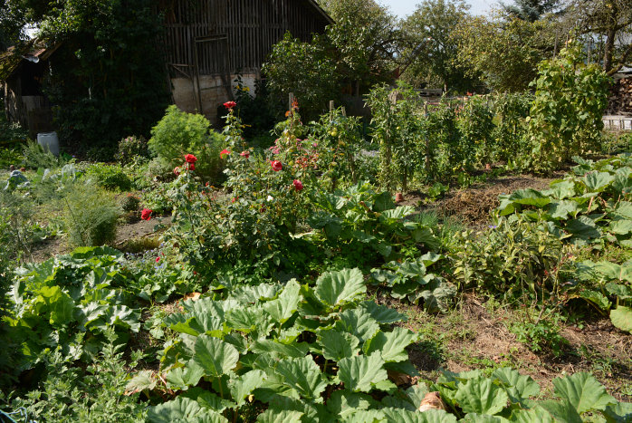 Schöner Bauerngarten