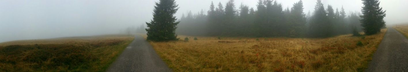 Bild: Panorama im Nebel