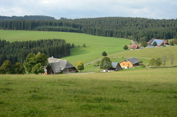 Wenigstens ab und an etwas Licht