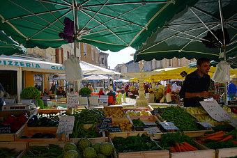 Bild: Auf dem Markt in St.Cyprien