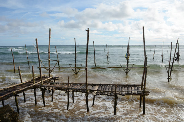 Stelzenfischer zwischen Galle und Matara