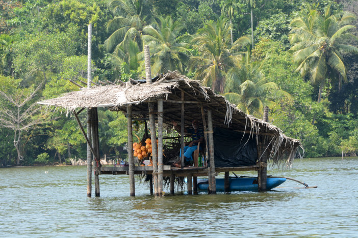 Ein Kokosnusswasserstand mitten im Wasser