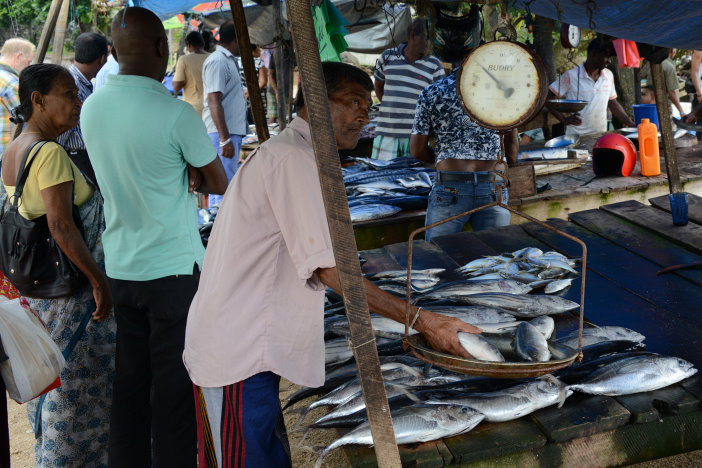 Fischmarkt am Meer kurz vor Galle