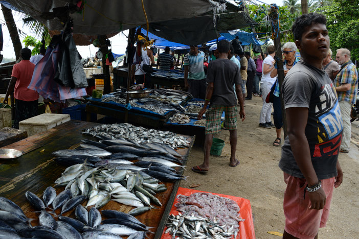 Fischmarkt am Meer kurz vor Galle