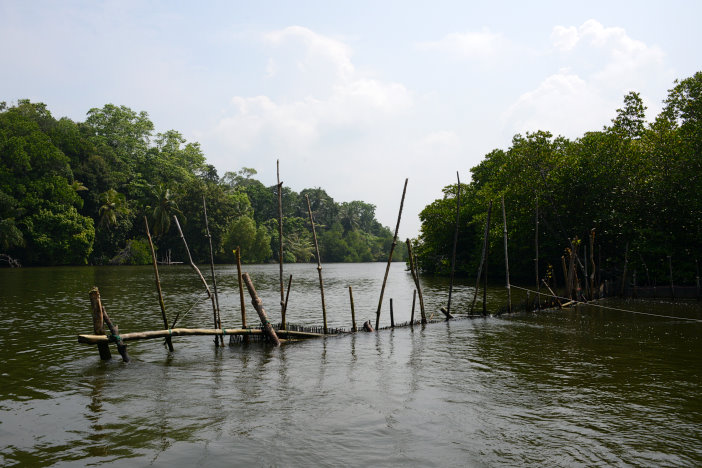 Matten im Wasser zum Sprimps fangen