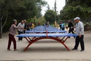 Bild: Tischtennis im Park