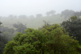 Bild: Die Landschaft versinkt im Nebel