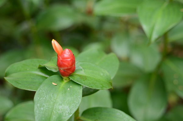 Im Garten Eden