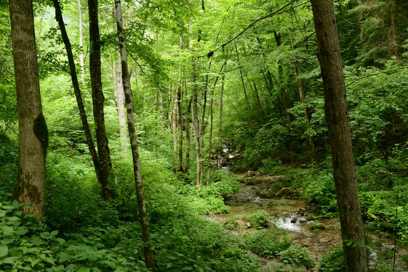 Auf dem Weg zum ersten Wasserfall Gorg d'Abiss