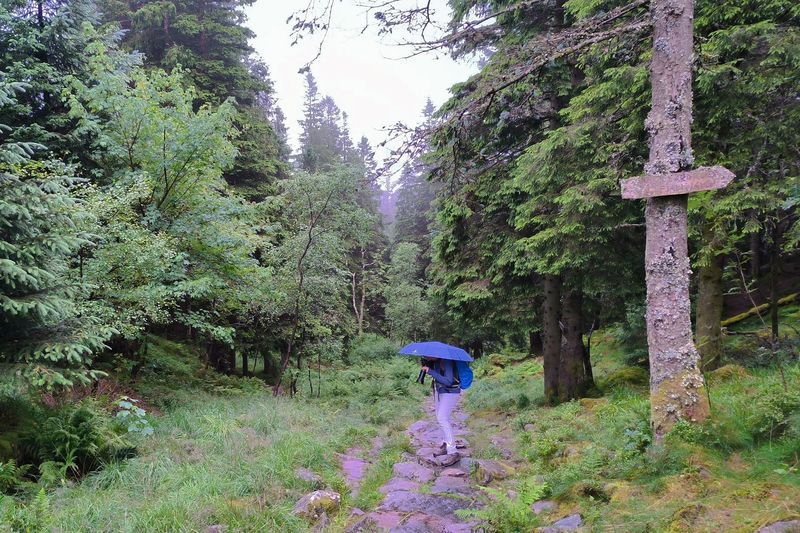 Fotografieren unterm Regenschirm