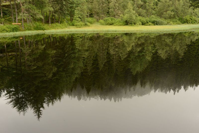 Tolle Spiegelung im See