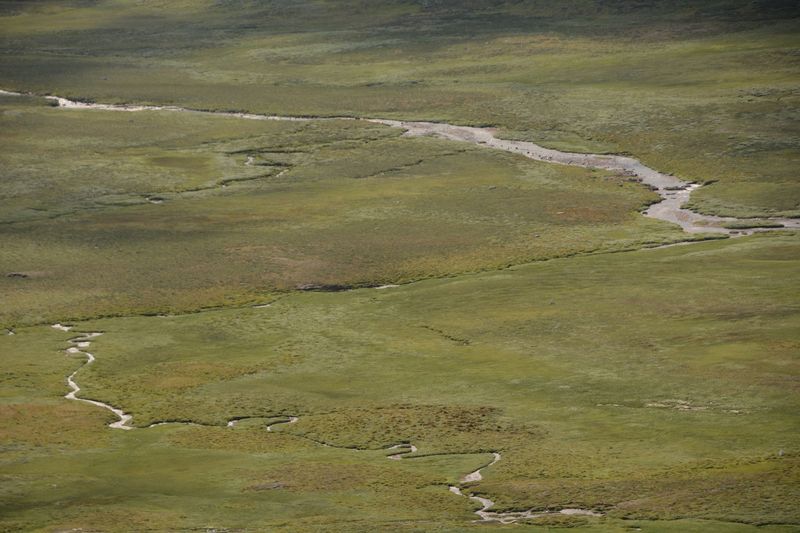 Manchmal wirkt es wie in der Mongolei