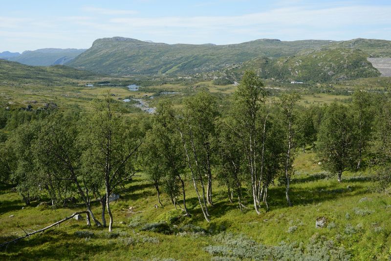 Traumhafte Landschaft