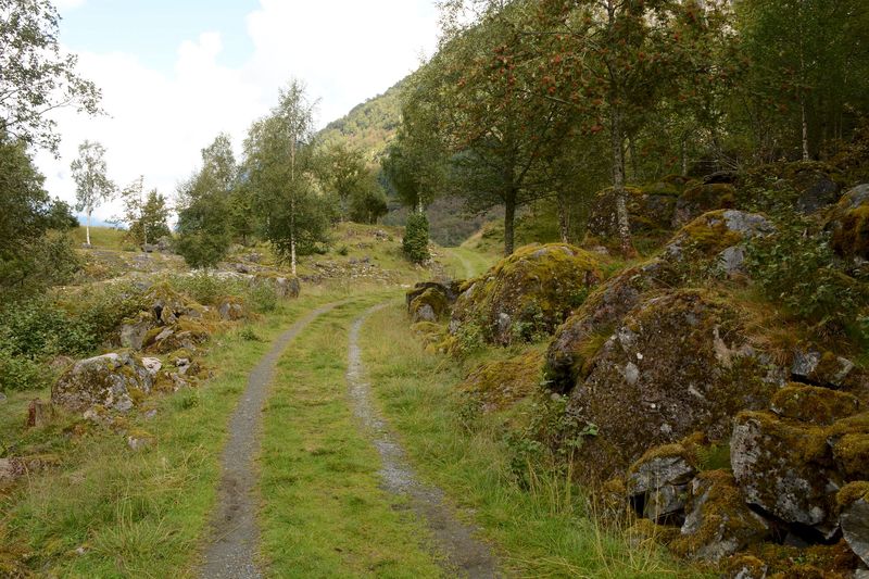 Schöner Weg und keine Menschenseele unterwegs