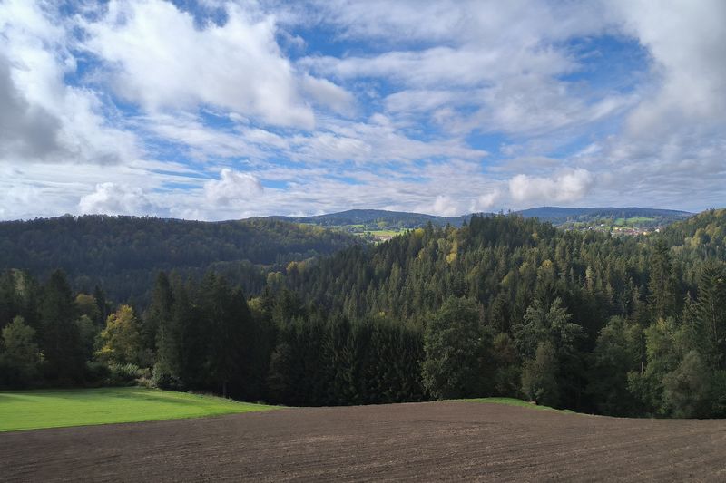 Schöne Landschaft