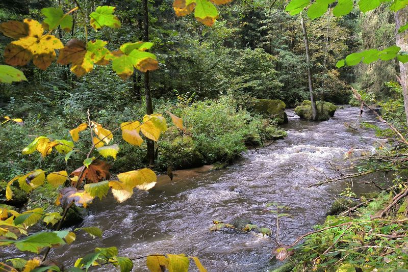 An der 'Mitternacher Ohe' entlang