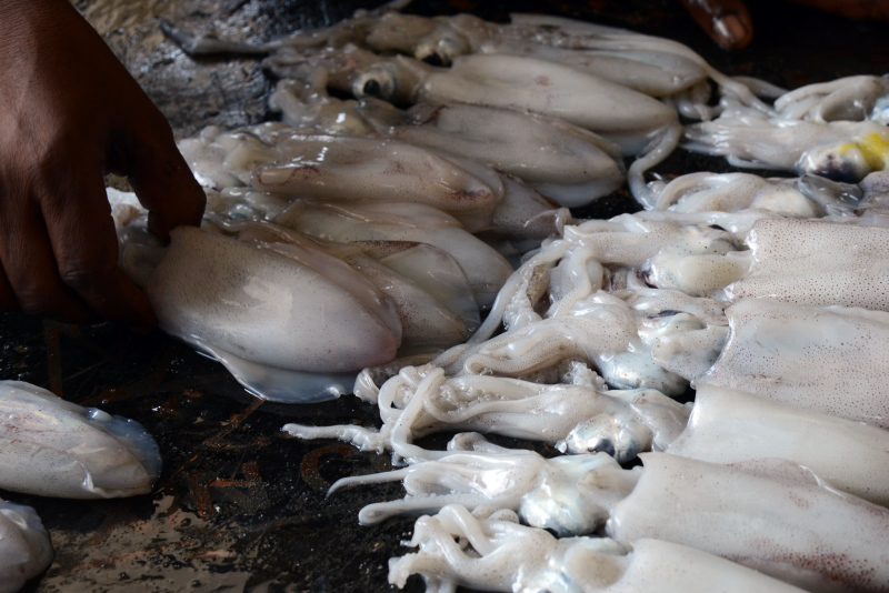 Tintenfisch auf dem Fischmarkt