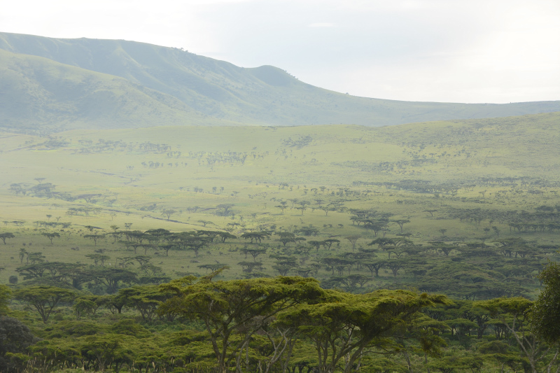 Die Landschaft in der diese Massai leben ist einfach traumhaft