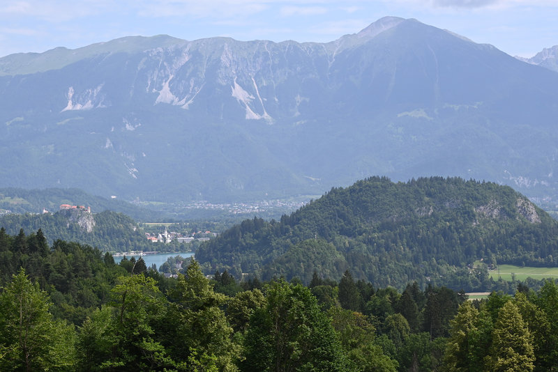 Blick auf den Bleder See