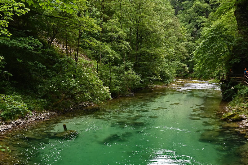 In der Vintgar-Schlucht