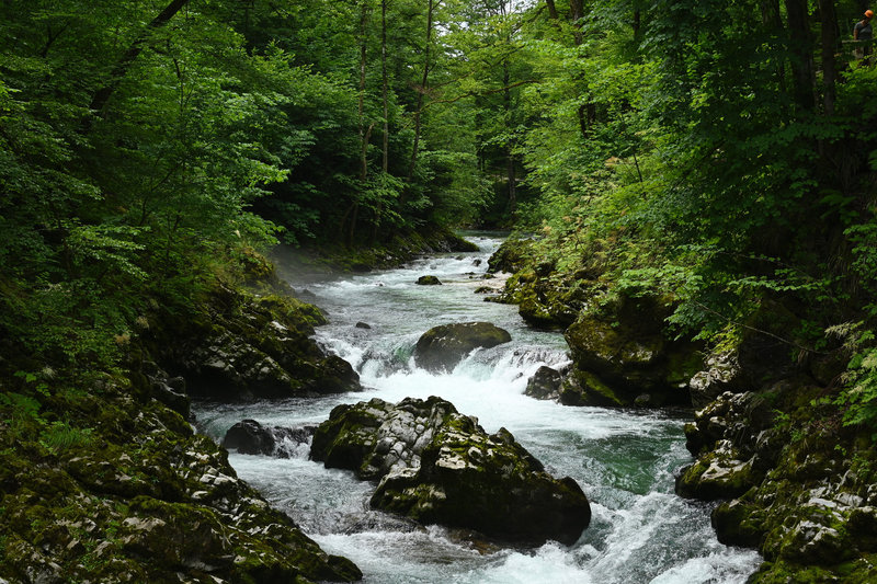 Dann geht es in die Vintgar-Schlucht