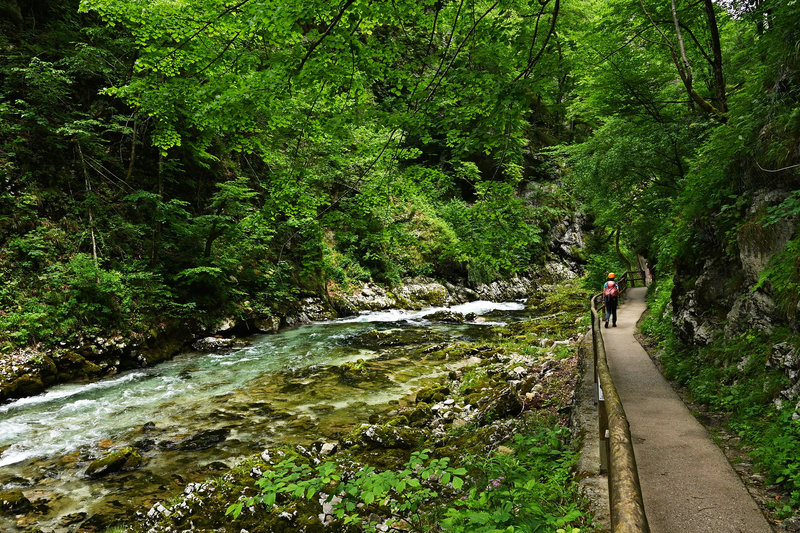 In der Vintgar-Schlucht